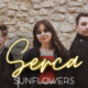 sunflowers serca