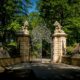 20190530-zamek-ksiaz-park-rododendrony-067