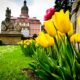 20220506-zamek-ksiaz-wiosna-008